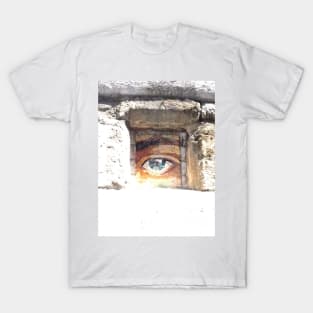 Big Brother is watching you T-Shirt